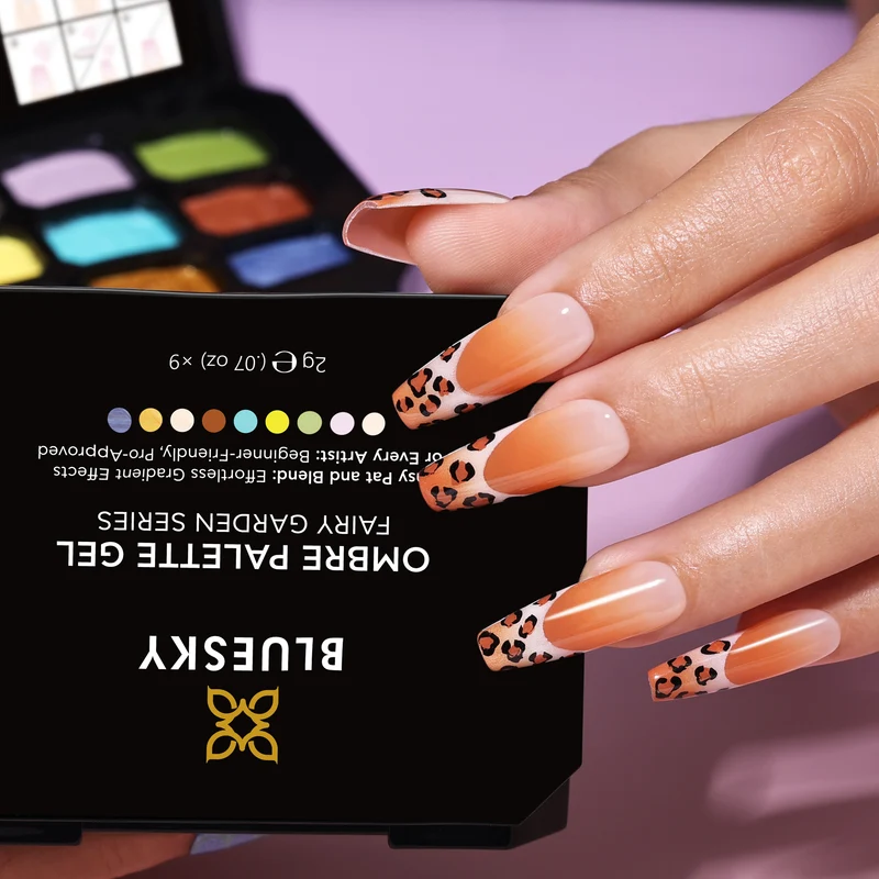 BLUESKY Ombré Palette Gel Kit