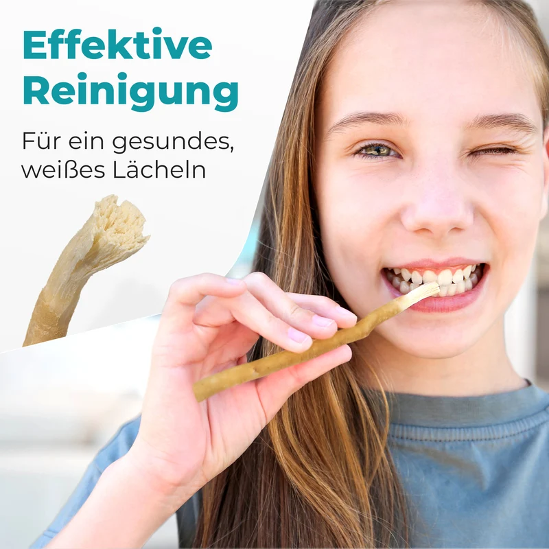BLISSANY Miswak 2er Pack (10 Stück) – Natürlich weiße Zähne und ein frischer Atem