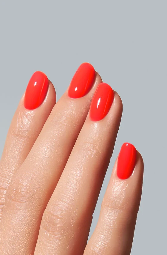 American Creator Color Gel Seychelles 15ml