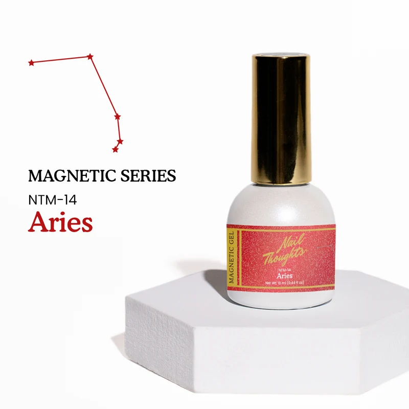Kokoist Nail Thoughts Magnetic Aries NTM-14