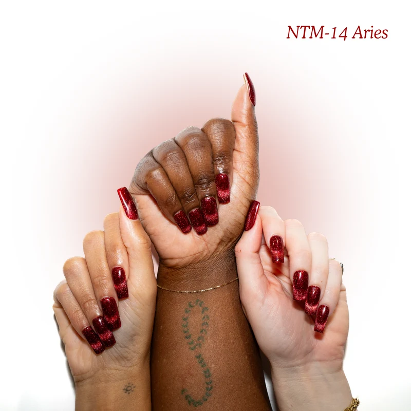 Kokoist Nail Thoughts Magnetic Aries NTM-14