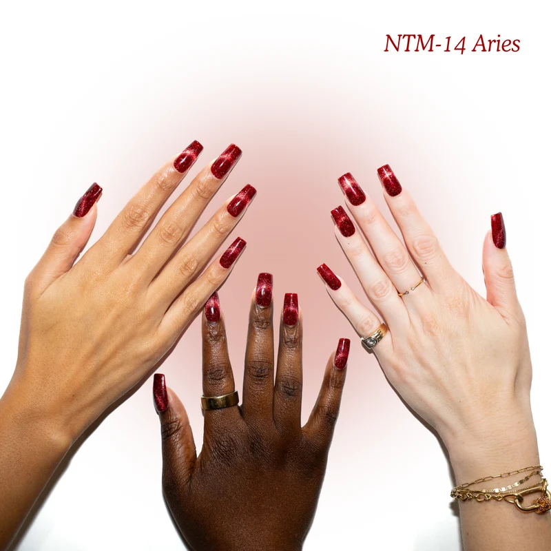 Kokoist Nail Thoughts Magnetic Aries NTM-14