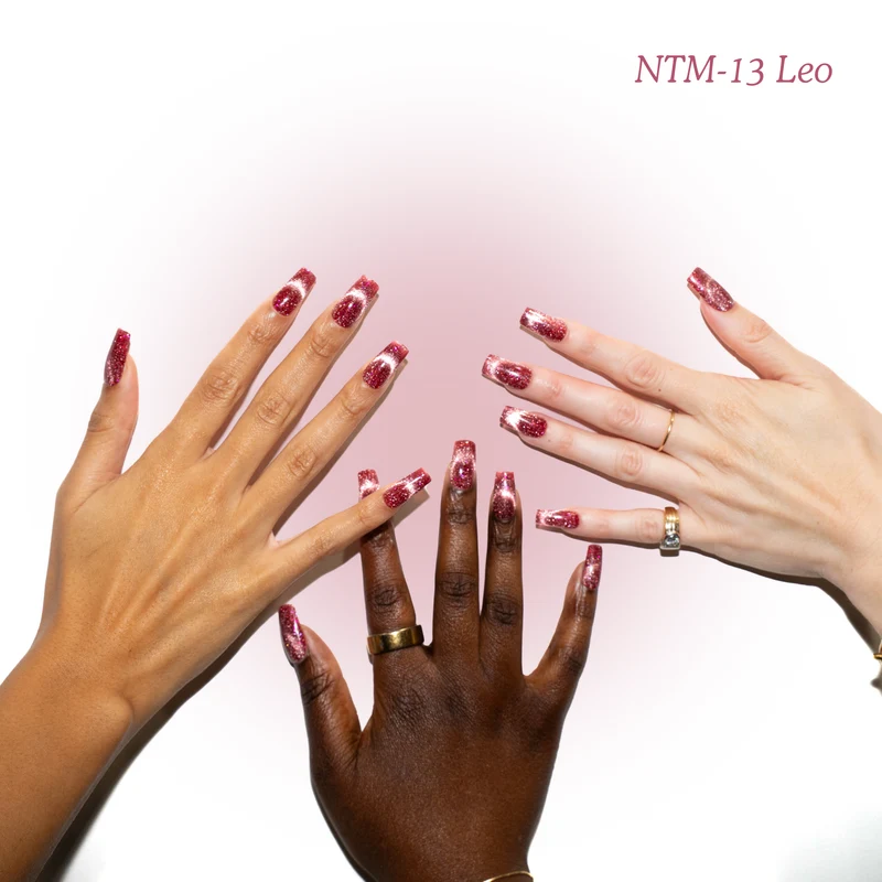 Kokoist Nail Thoughts Magnetic Leo NTM-13