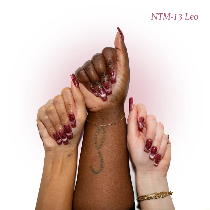 Kokoist Nail Thoughts Magnetic Leo NTM-13