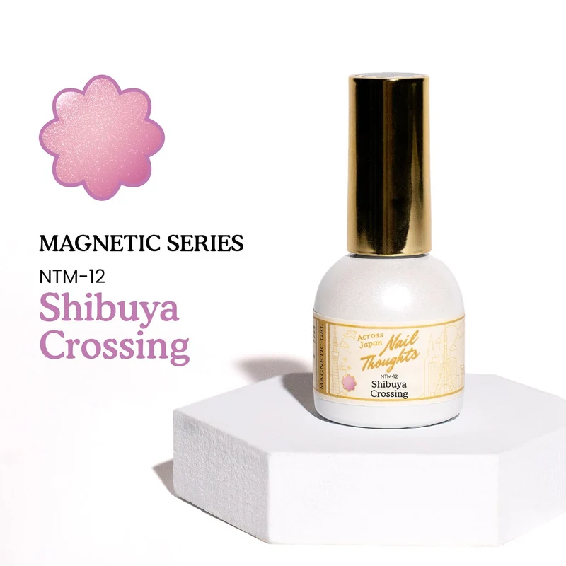 Kokoist Nail Thoughts Magnetic Shibuya Crossing NTM-12