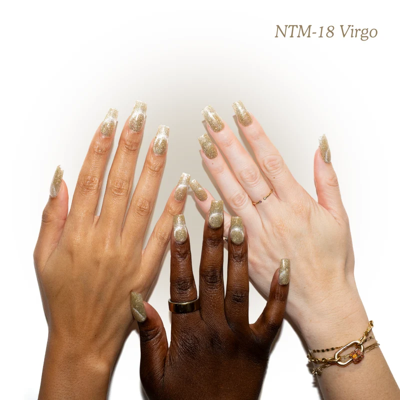 Kokoist Nail Thoughts Magnetic Virgo NTM-18