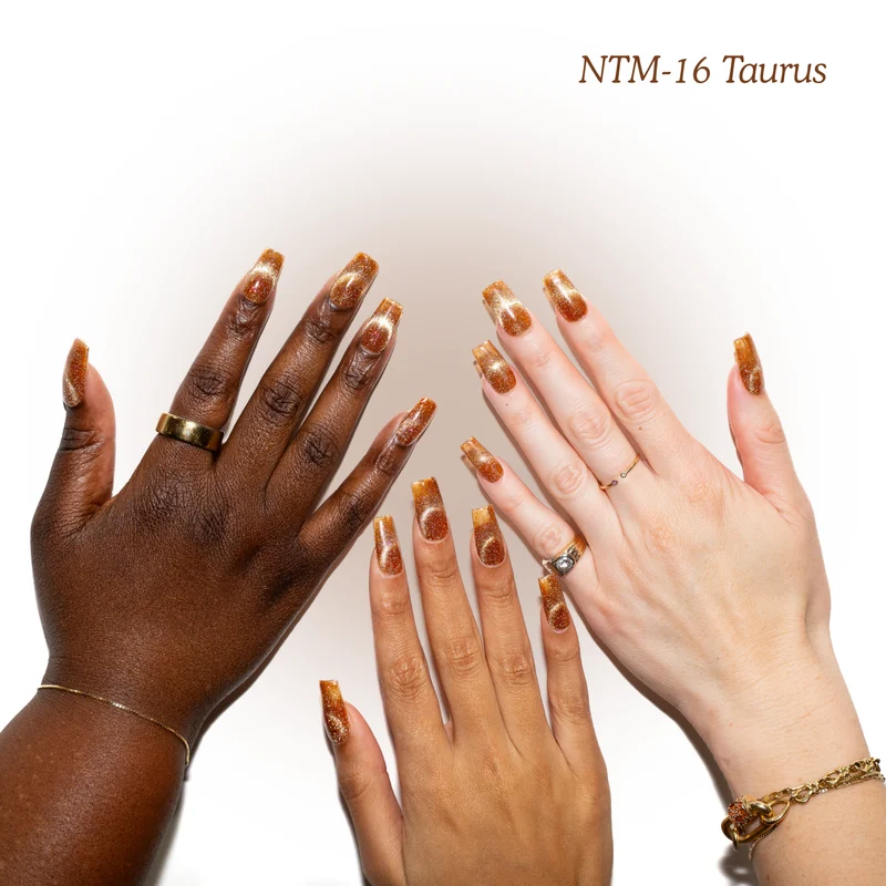 Kokoist Nail Thoughts Magnetic Taurus NTM-16
