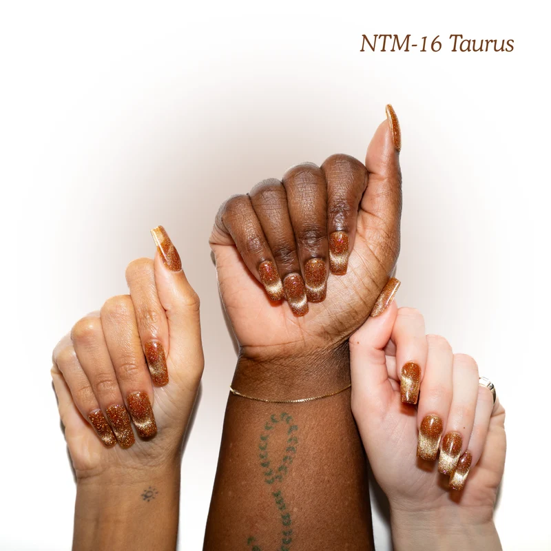 Kokoist Nail Thoughts Magnetic Taurus NTM-16