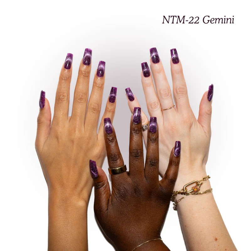 Kokoist Nail Thoughts Magnetic Gemini NTM-22