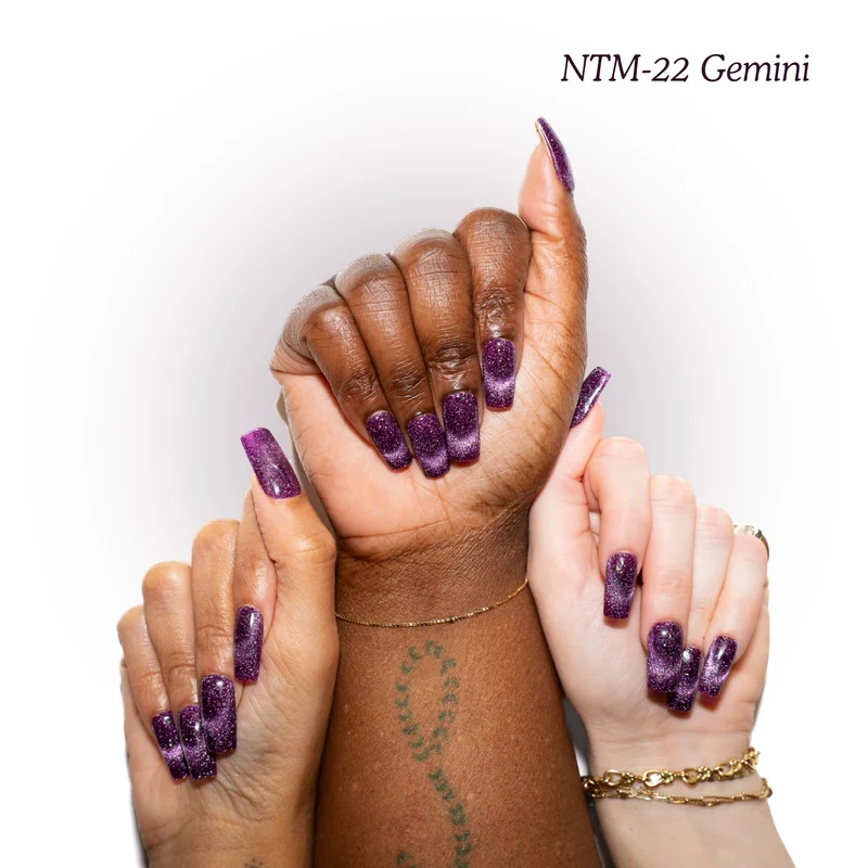 Kokoist Nail Thoughts Magnetic Gemini NTM-22