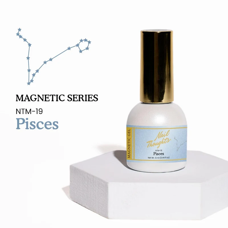 Kokoist Nail Thoughts Magnetic Pisces NTM-19