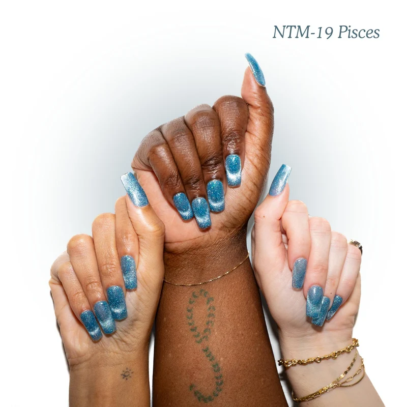 Kokoist Nail Thoughts Magnetic Pisces NTM-19
