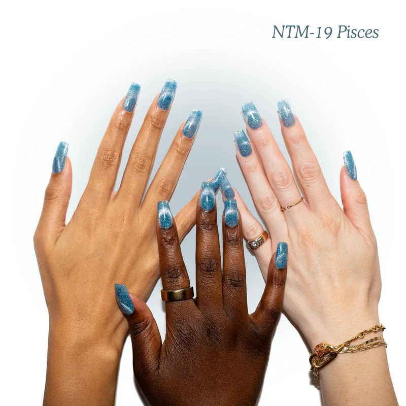 Kokoist Nail Thoughts Magnetic Pisces NTM-19