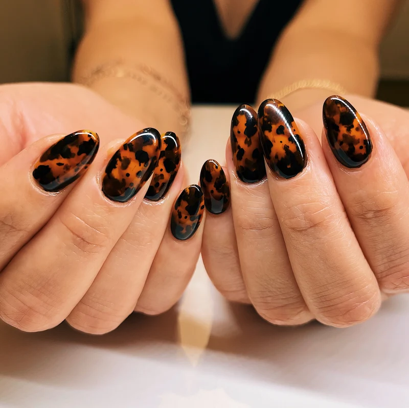Kokoist Tortoise Shell Design Kit