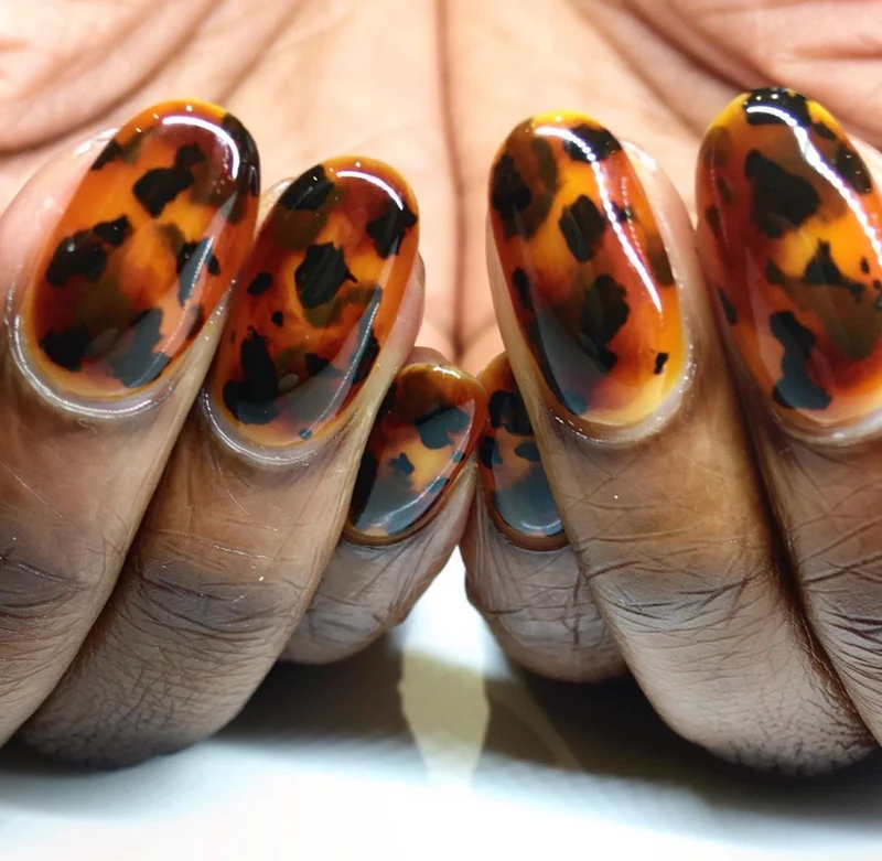 Kokoist Tortoise Shell Design Kit