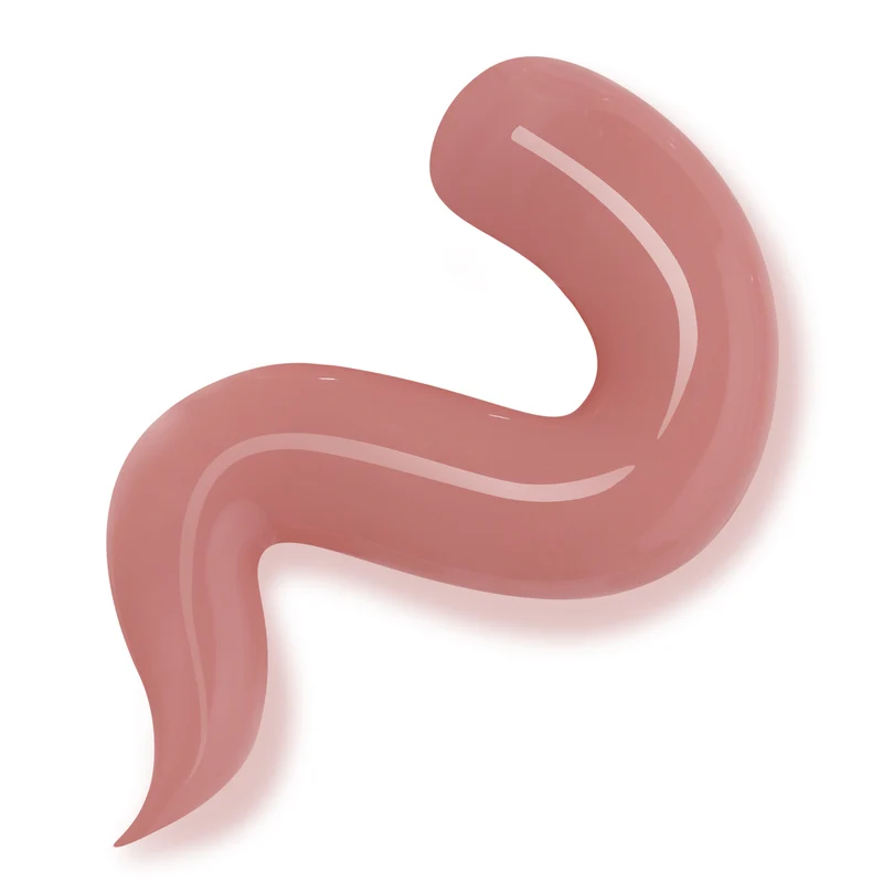BLUESKY Gum Gel 04 Pink, 60g