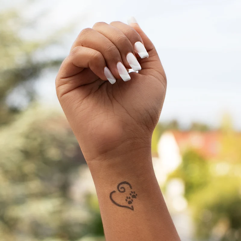 Skin Tattoo Pet Collection
