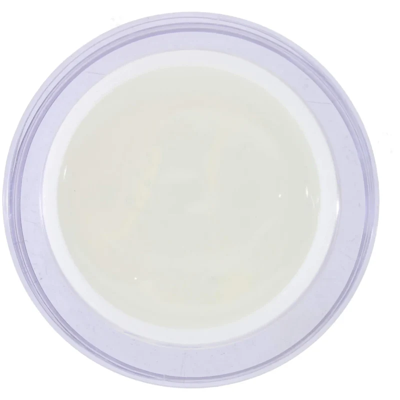 MSE-Gel 404: Mal-Glanzgel / Sealing painting 50ml