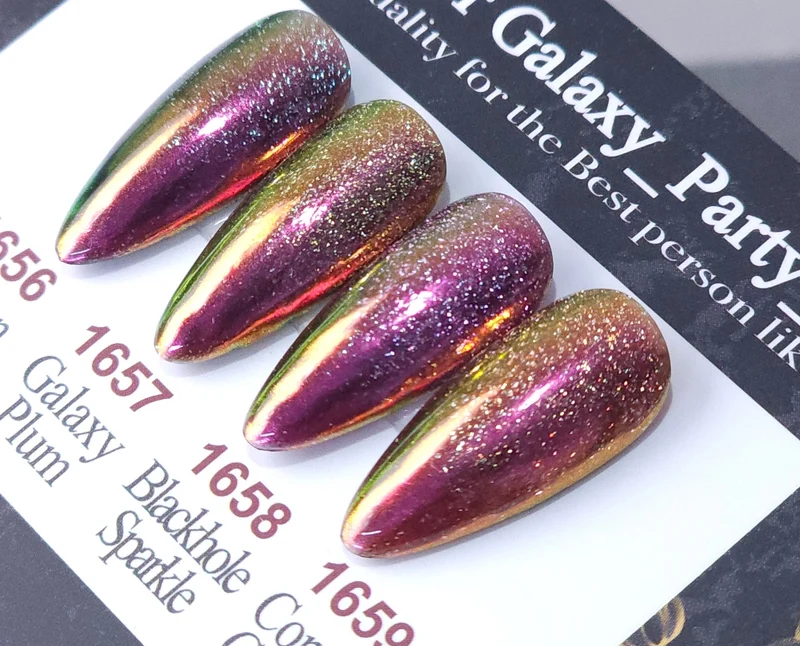 ICEGEL Meteor Galaxy Party 1656-1659