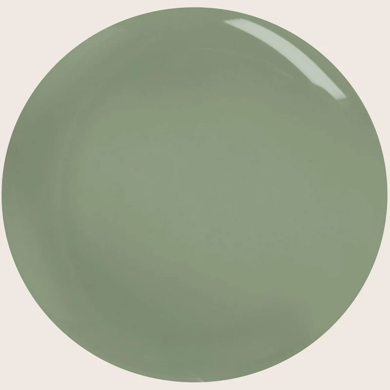 Farbgel Amazonia 5ml | F373