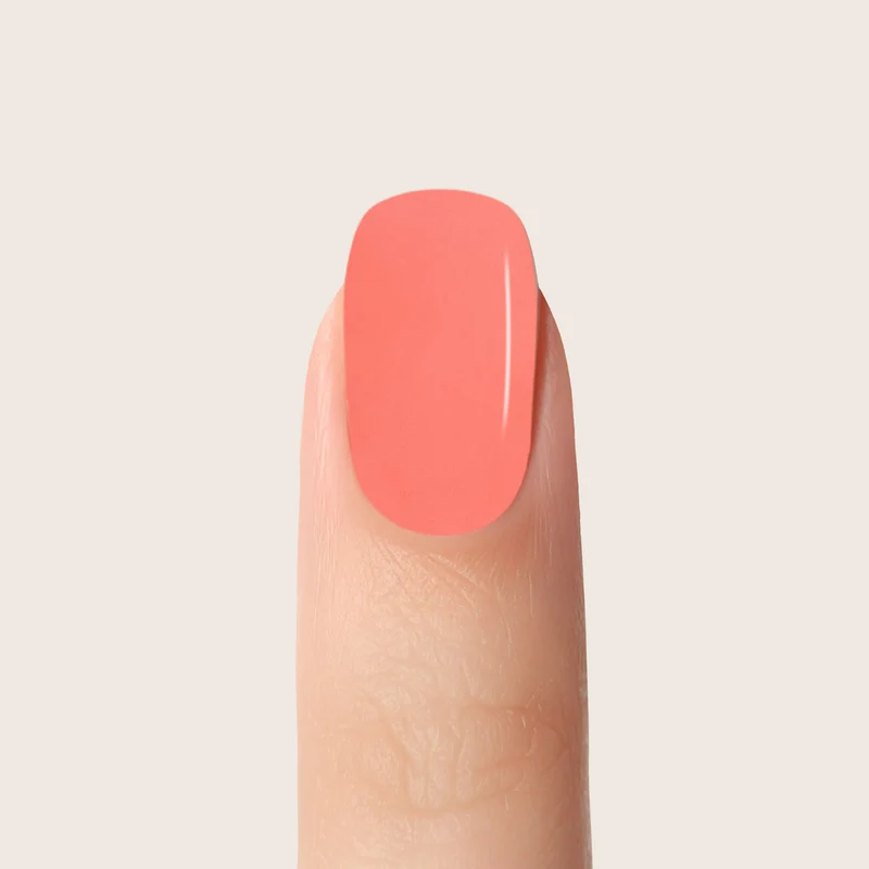 Farbgel Coral Reef 5ml | F374