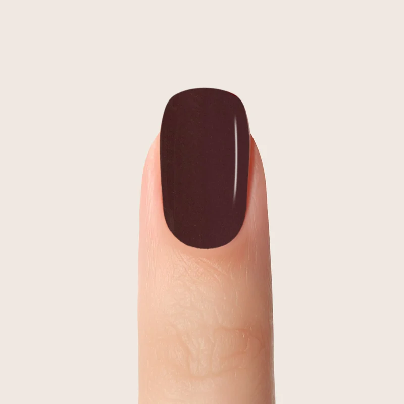Farbgel Autumn Chestnut 5ml | F072