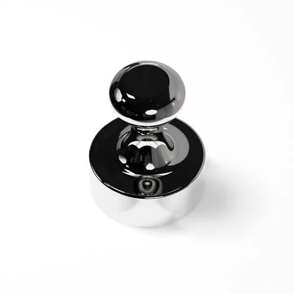 4 Magnet für Cat Eye (1 Stück)