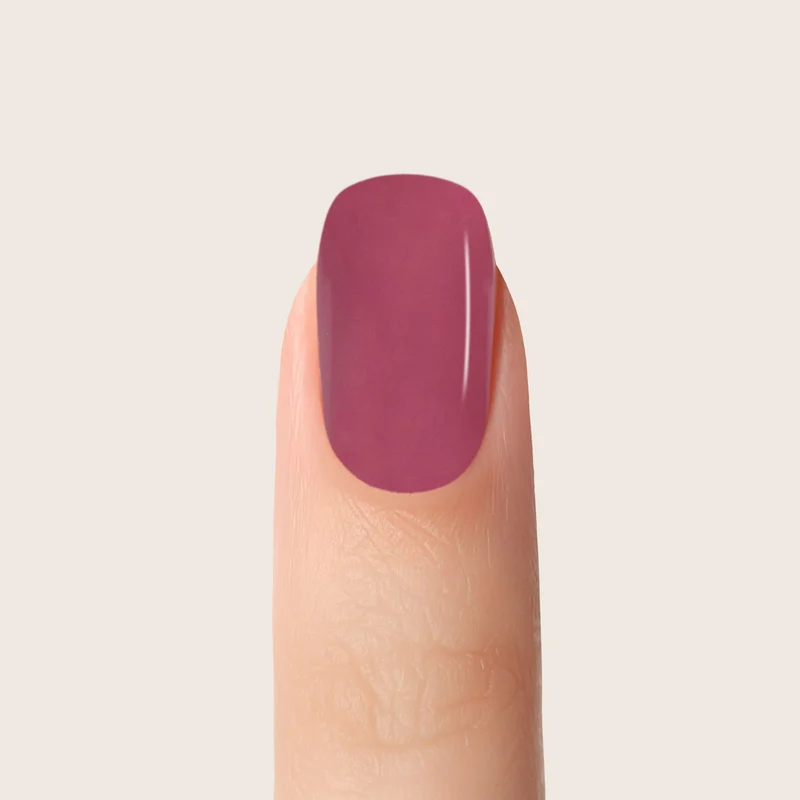 Farbgel Marsala 2 5ml | F167