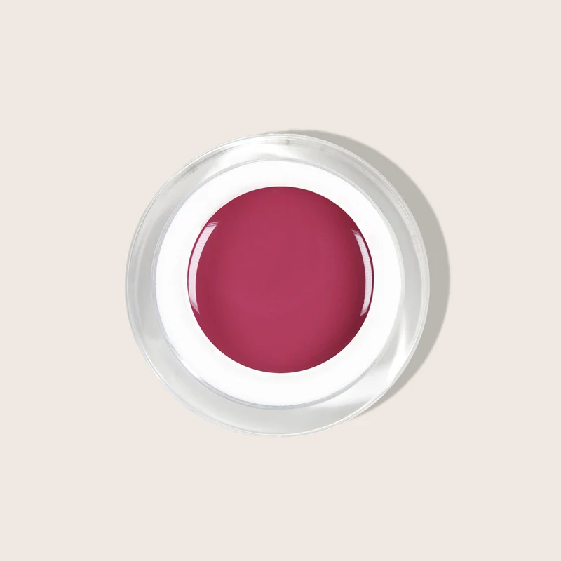 Farbgel Marsala 2 5ml | F167