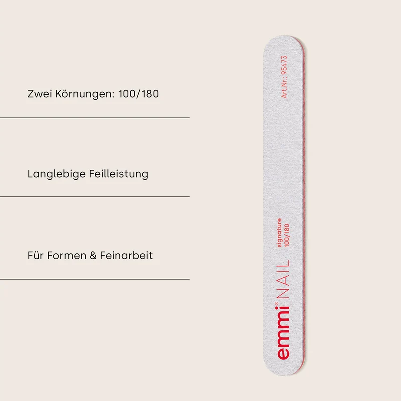 Profifeile long life 100/180