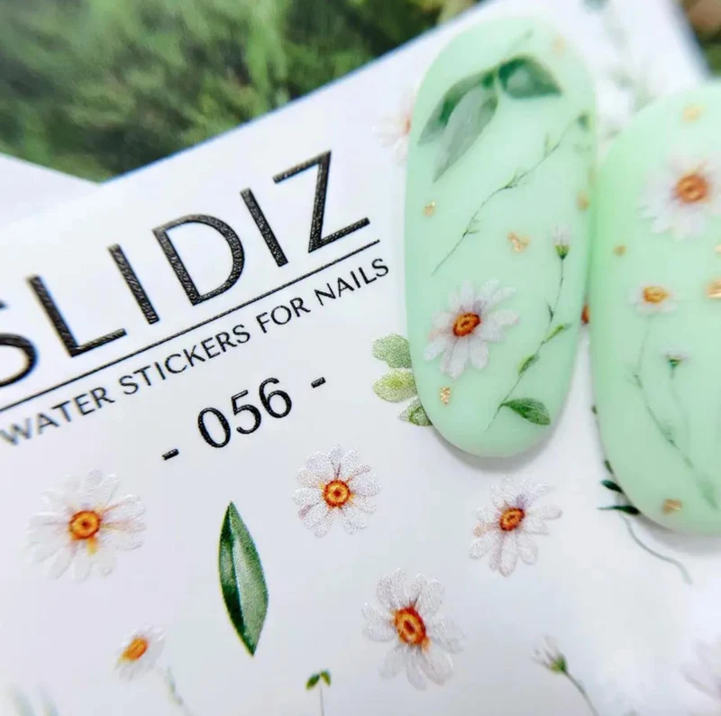 056 - SLIDIZ