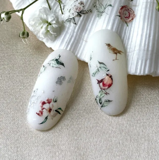 IBDI NAILS COLORFUL 155