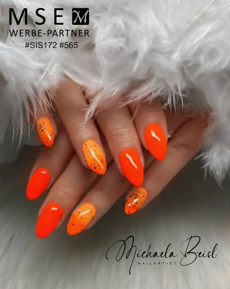 #565 Premium-DEKO Color Gel 5ml AUSGELAUFEN (neue ersatzfarbe wird #1102 werden)