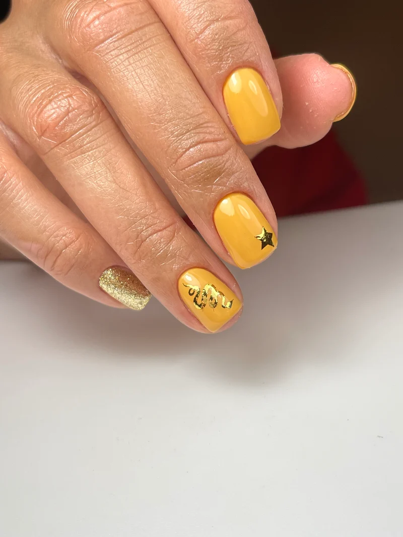 PNB orange gel nail polish 271 Bruegel