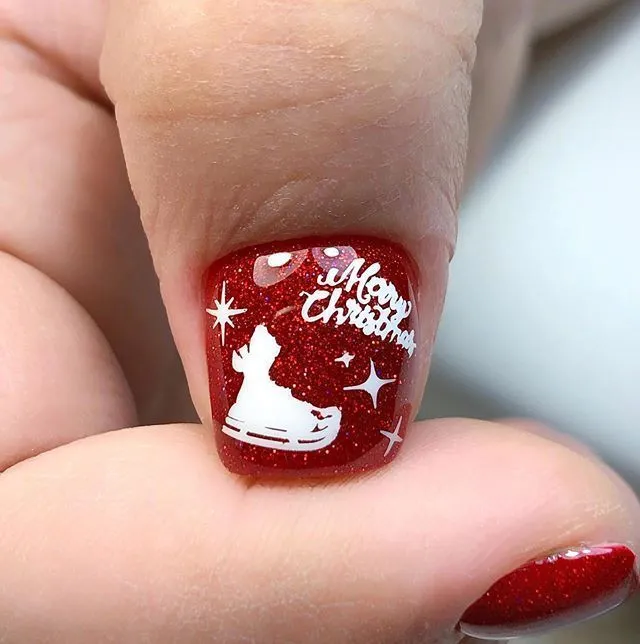 Swanky Stamping Snowflake. Holiday, Christmas nail stamping plates 052