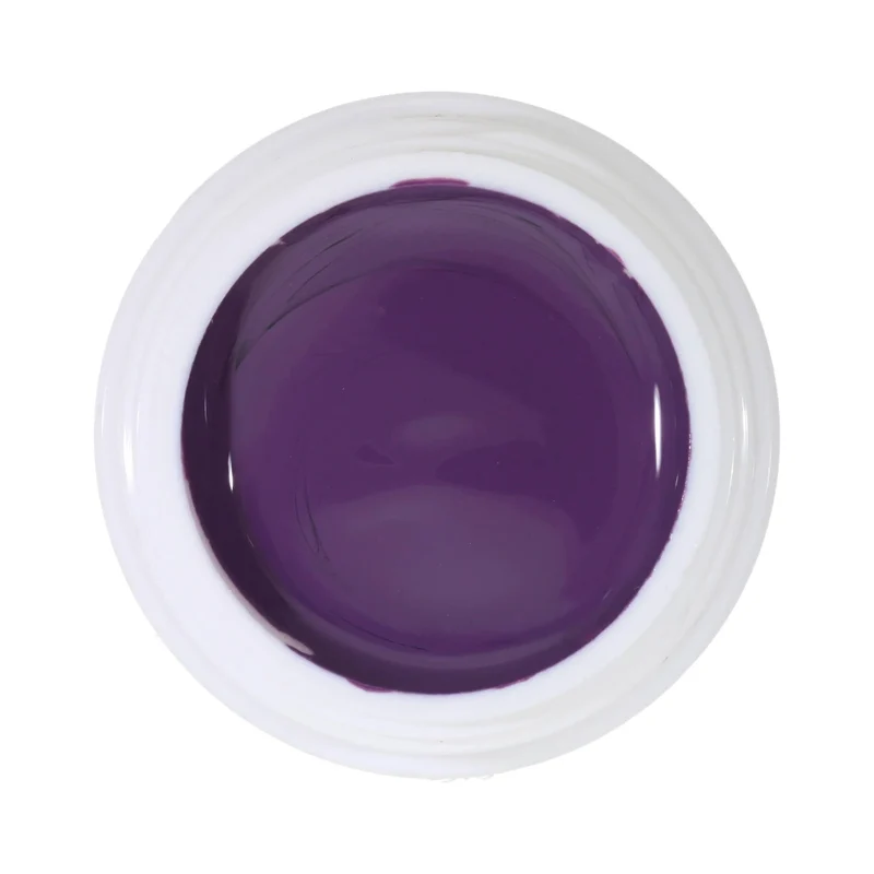 #025 Premium-PURE Color Gel 5ml Leicht grünlich dunkler Fliederton