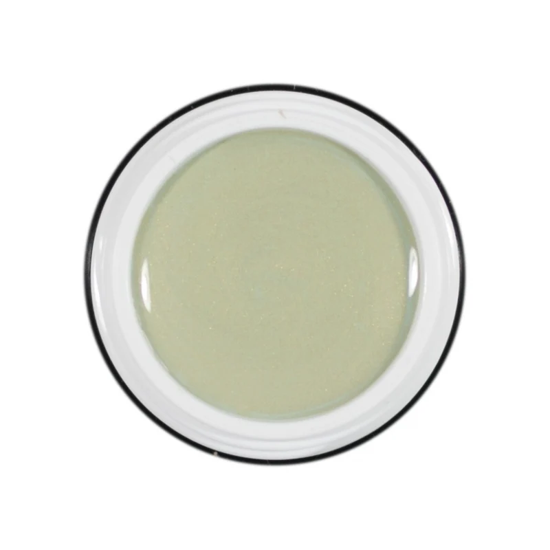 Farbgel von Mr. Stilett "Pistazien Green" 5ml