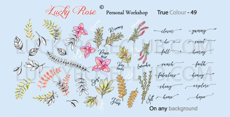 Sticker Design "True Colour" 49 (Wasserlösliche Aufkleber) Lucky Rose