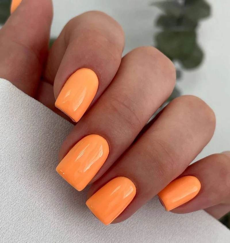 Salmon - Color Gel 15ml AMERICAN CREATOR