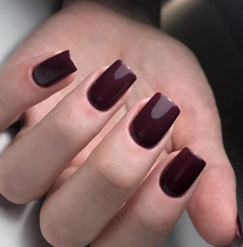 BORDEAUX — UV Nagellack 8 ml STUDIOS DIDIER