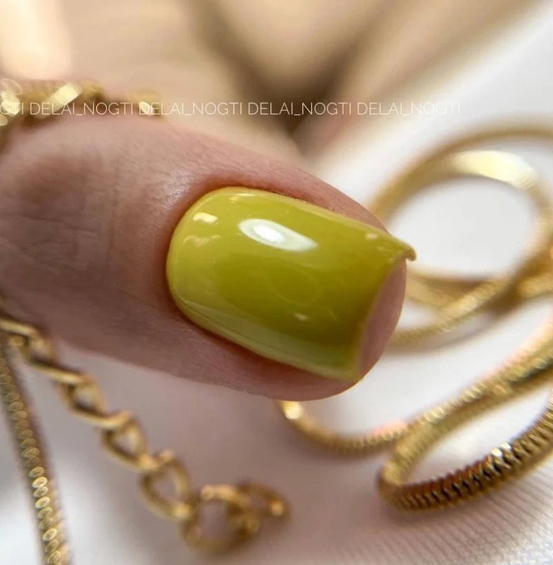 Olive - Color Gel 15ml AMERICAN CREATOR