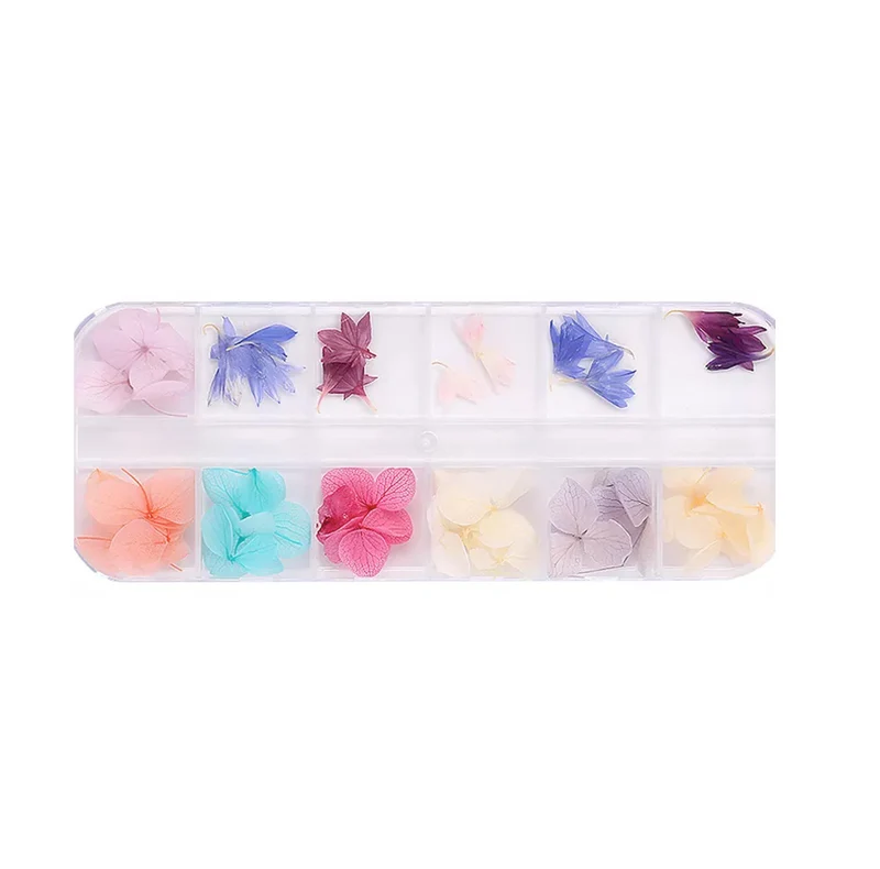 ECHTE TROCKENBLUMEN 12 Stück NailArt