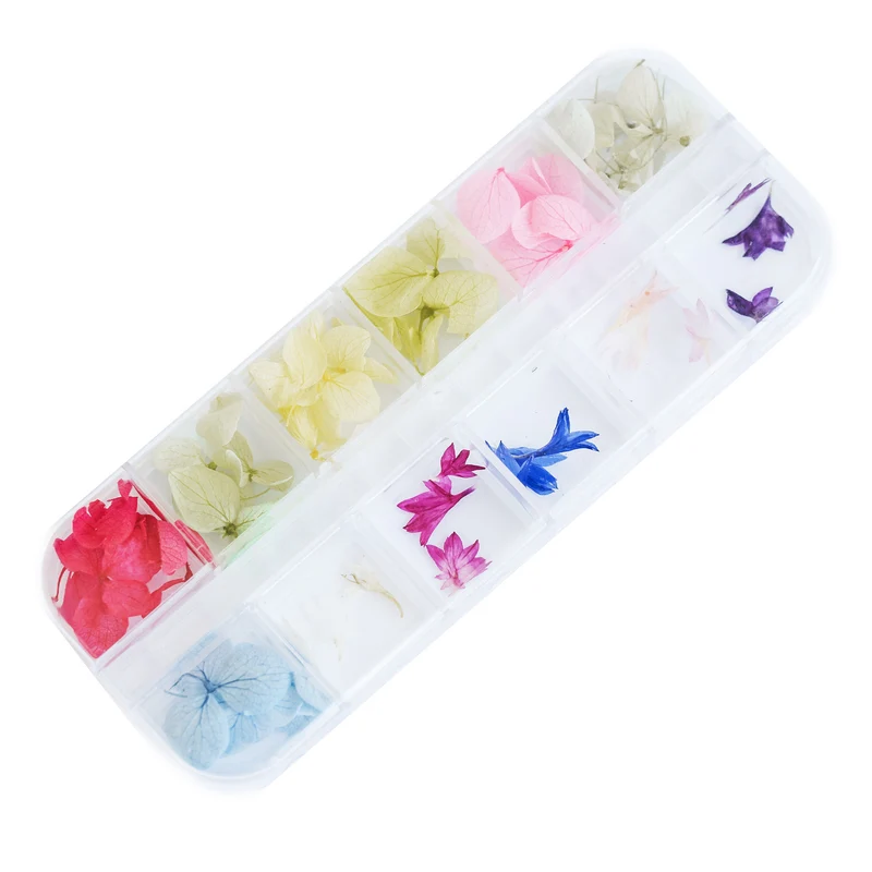 ECHTE TROCKENBLUMEN 12 Stück NailArt