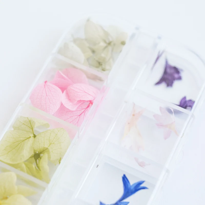 ECHTE TROCKENBLUMEN 12 Stück NailArt