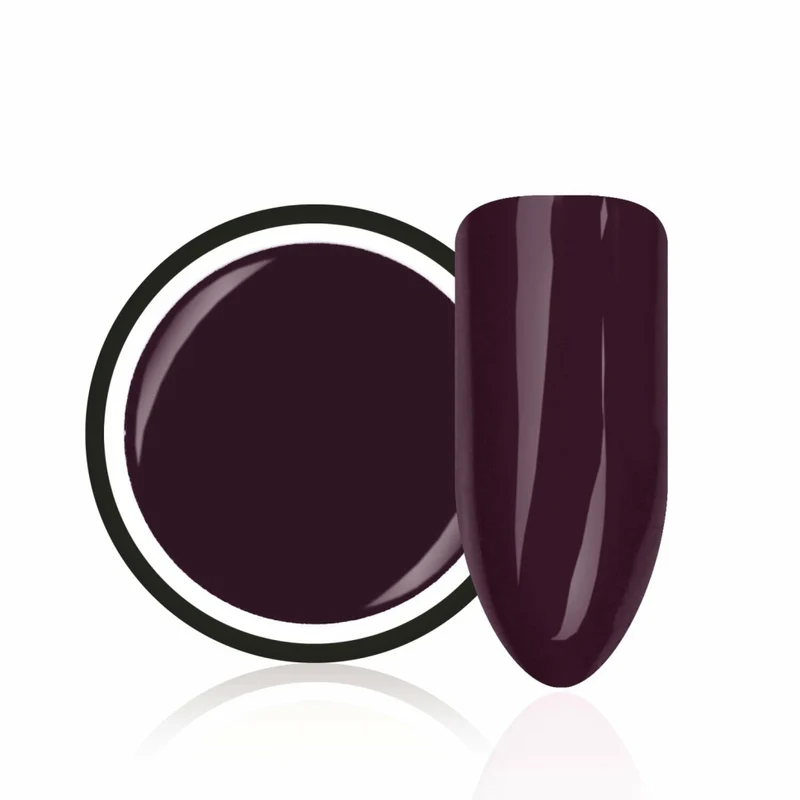 Farbgel "Dark Plum" von Trendnails 5ml (TPO-free)