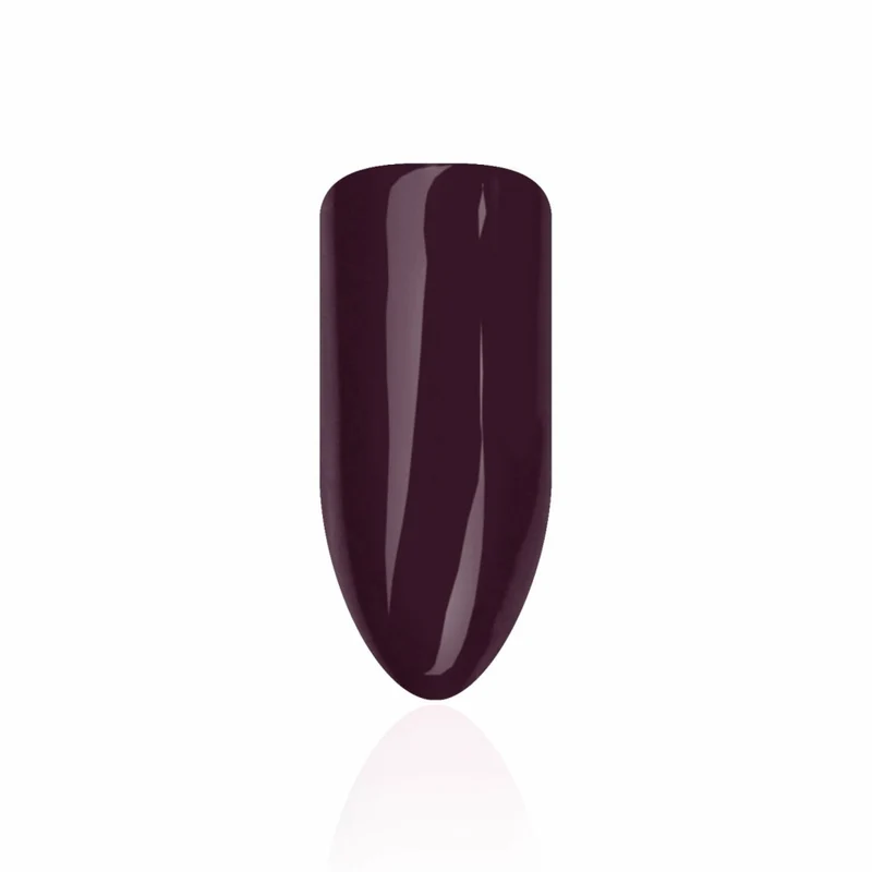 Farbgel "Dark Plum" von Trendnails 5ml (TPO-free)