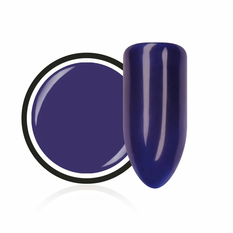 Farbgel Classic "Plum" von Trendnails 5ml (TPO-free)