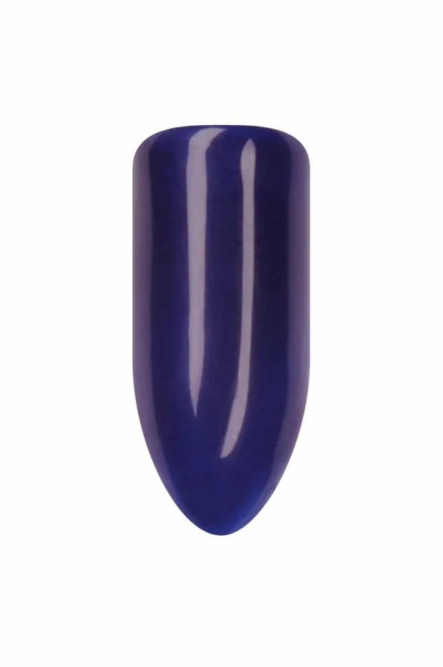 Farbgel Classic "Plum" von Trendnails 5ml (TPO-free)