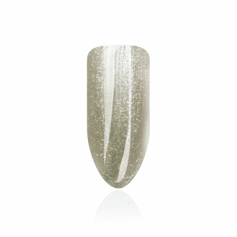Farbgel ,,Heavy Metal" von Trendnails 5ml (TPO-free)