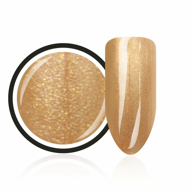 Farbgel ,,Metallic Golden Queen" von Trendnails 5ml (TPO-free)